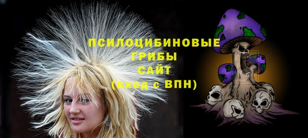PSILOCYBIN Алексин