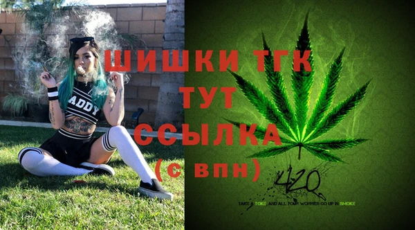 PSILOCYBIN Алексин