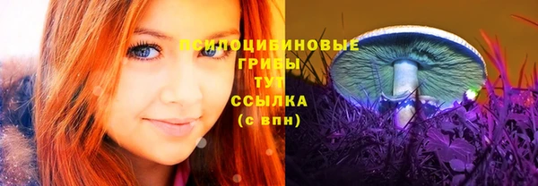 PSILOCYBIN Алексин
